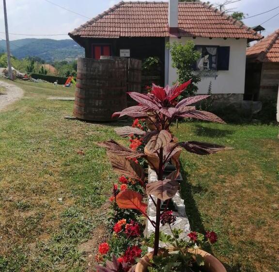 تختخواب و صبحانه Terzica Avlija