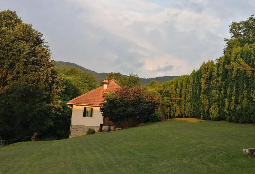 تختخواب و صبحانه Terzica Avlija