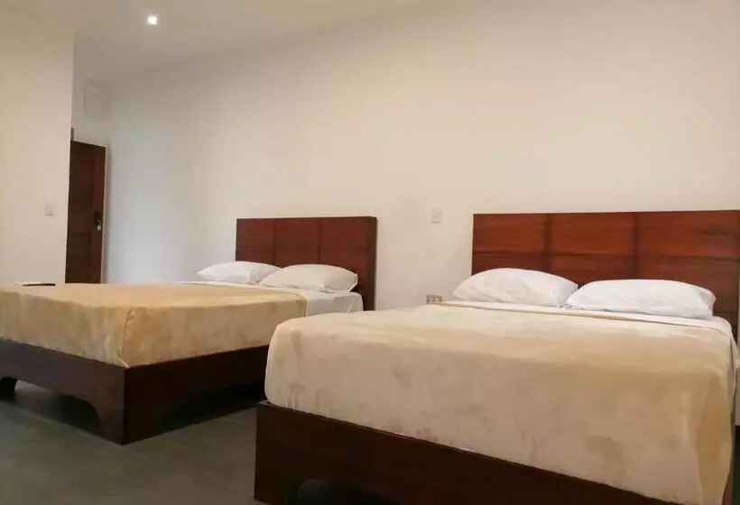 Kapselihotelli Scala Inn