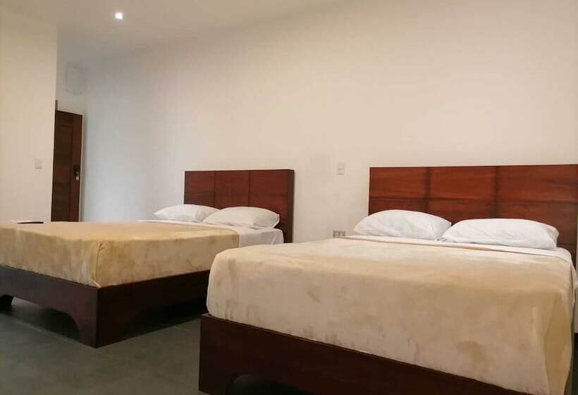 מלון כמוסות Scala Inn