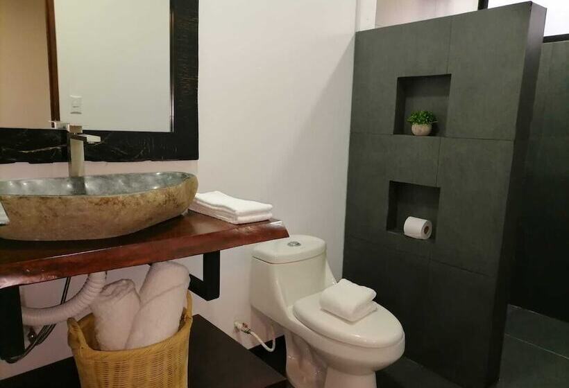 מלון כמוסות Scala Inn