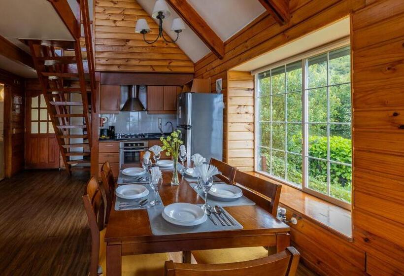 Otel Parque Llanquihue   Caja Los Héroes