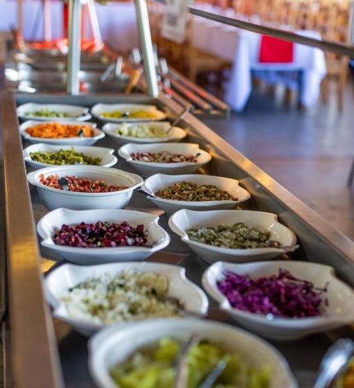 Otel Parque Llanquihue   Caja Los Héroes