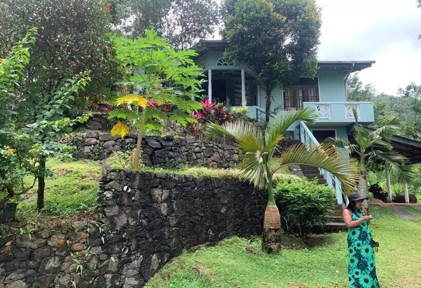 ホテル Sinharaja Holiday Bungalow