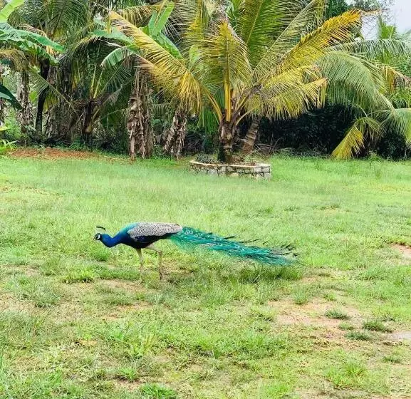 ホテル Ashok Villa