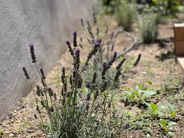 Majatalo Une Nuit En Luberon