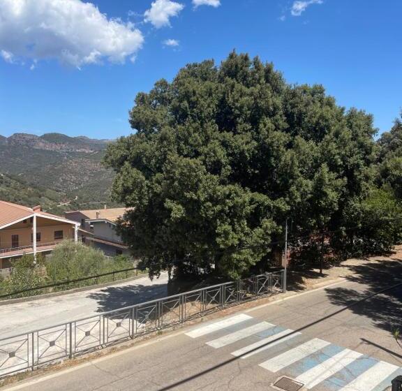 ペンション Ussassai Profumi D Ogliastra