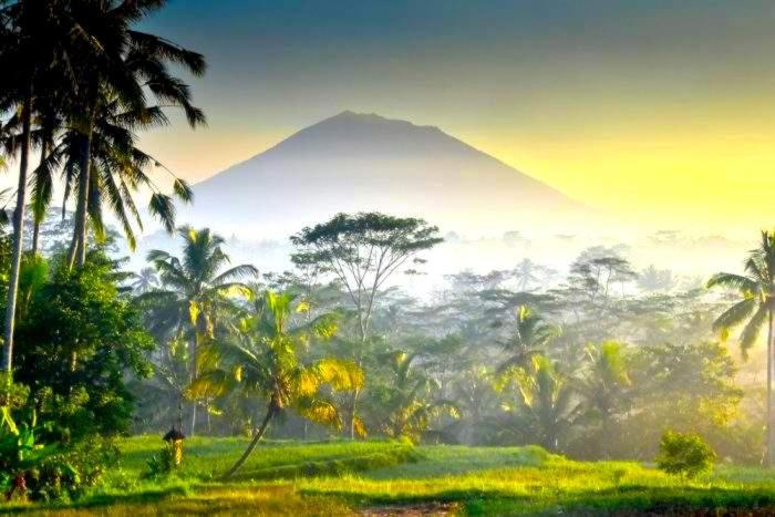 リゾートホテル Green Point Villa