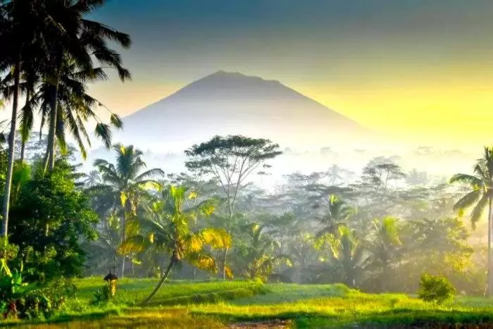 Lomakeskus Green Point Villa