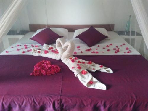 Skykite Resort & Hostel Kalpitiya Sri Lanka