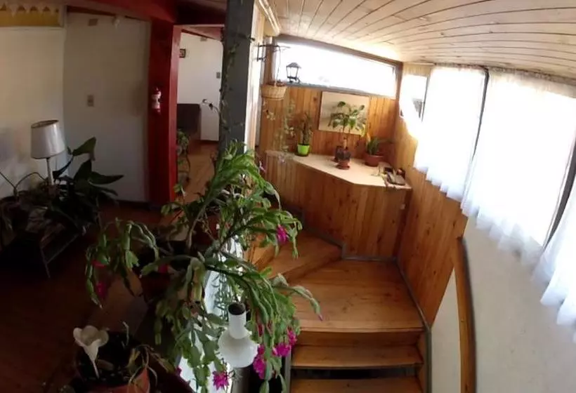 Retkeilymaja Hostal Boutique F