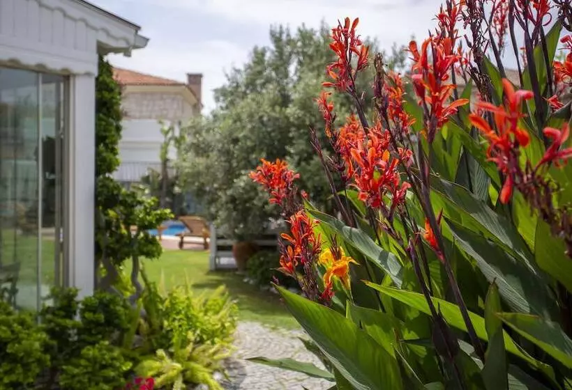 Aamiaismajoitus (B&B) Kokopelli Alacati