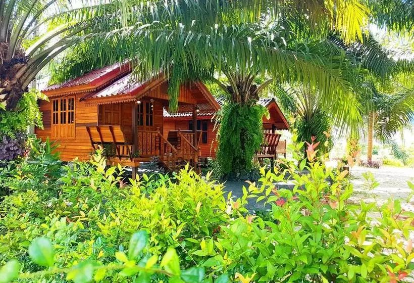 Comfy Lodge Resort