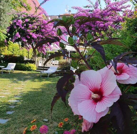 בית מלון כפרי Blu