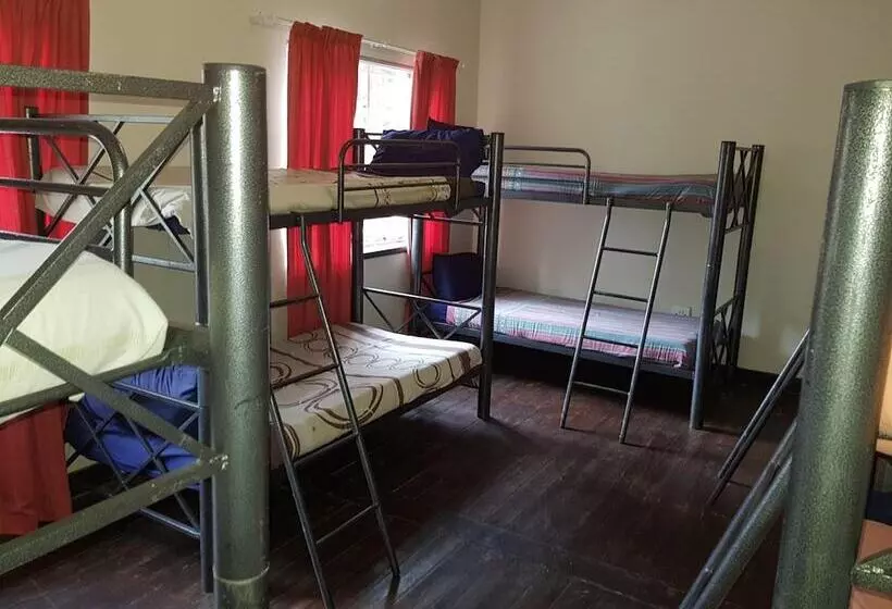 ホテル Travel Lodge Sabie