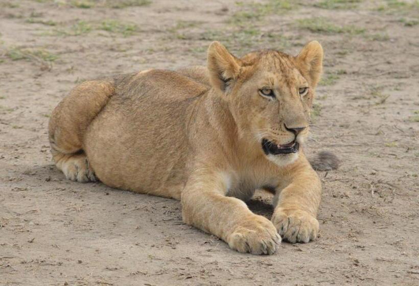 Maasai Hostel Tanzania
