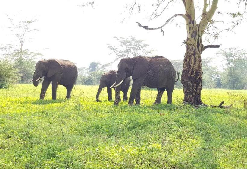Maasai Hostel Tanzania