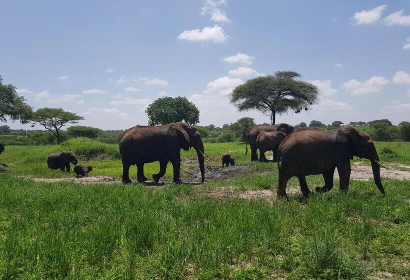 Maasai Hostel Tanzania