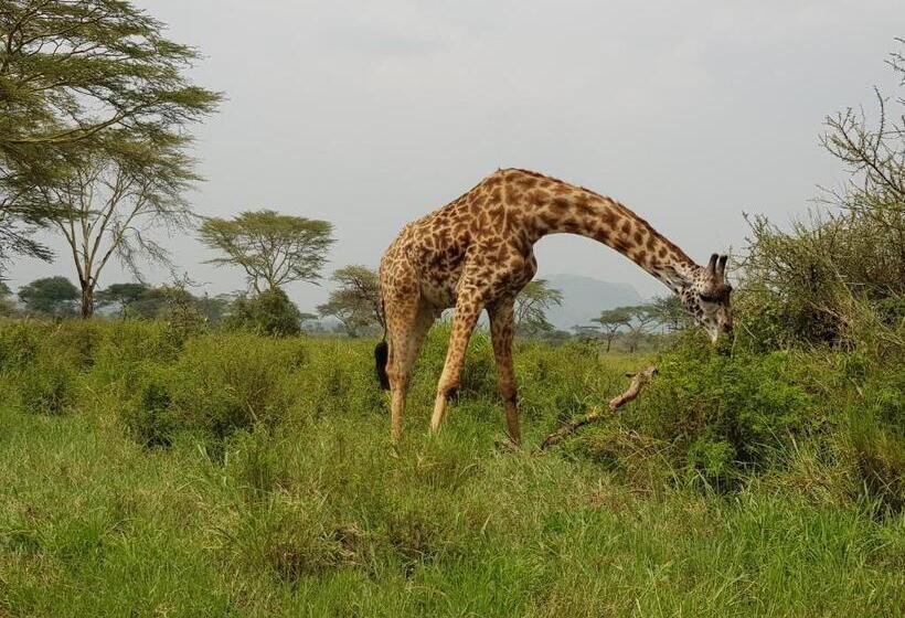 Maasai Hostel Tanzania