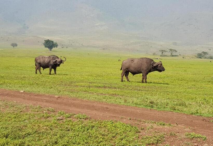 Maasai Hostel Tanzania