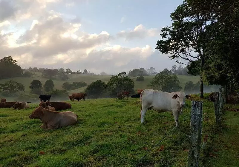 Seasons Of Maleny B&b