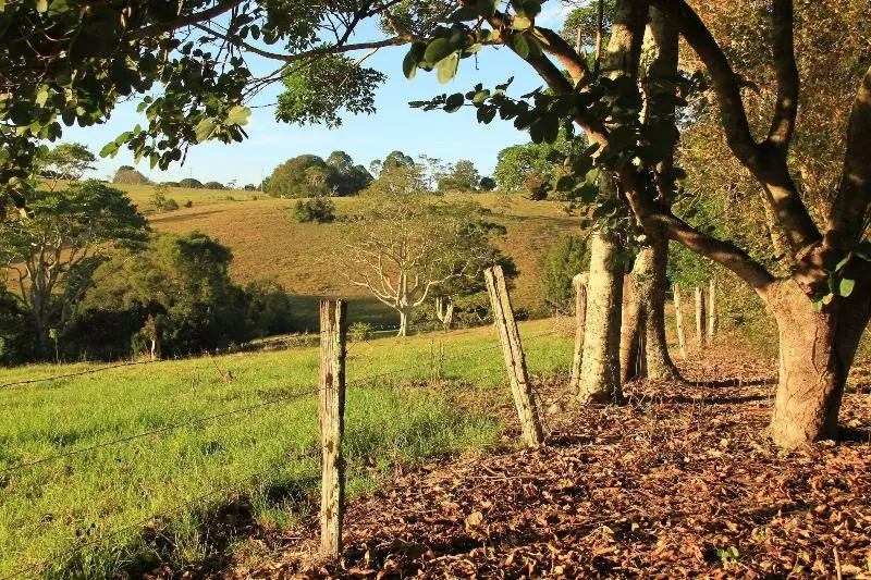 Seasons Of Maleny B&b