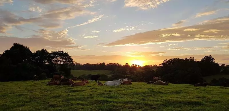 Seasons Of Maleny B&b