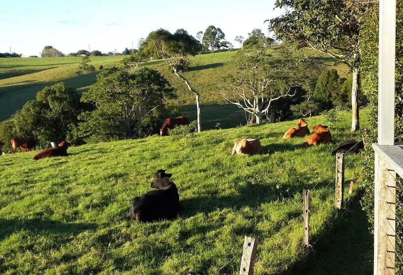 Seasons Of Maleny B&b