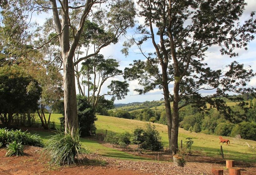 Seasons Of Maleny B&b