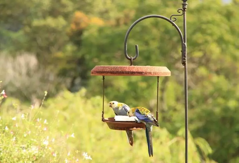 Seasons Of Maleny B&b