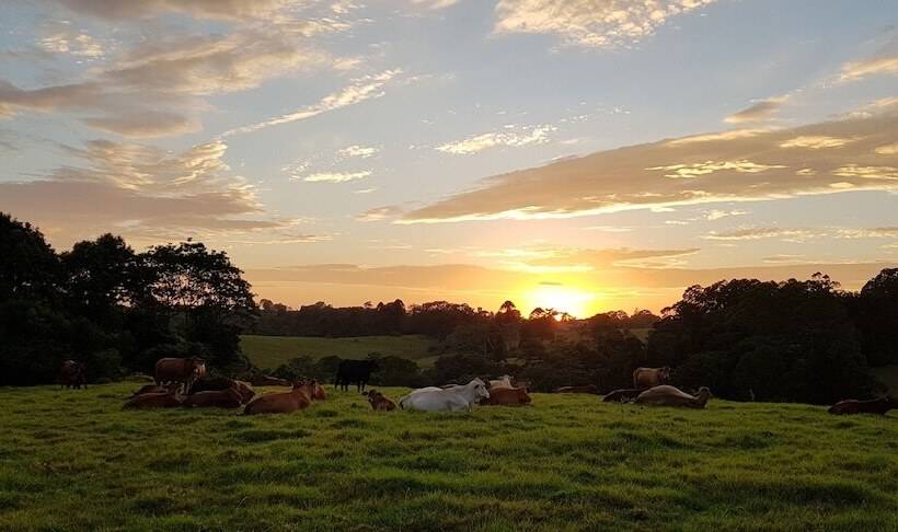 Seasons Of Maleny B&b