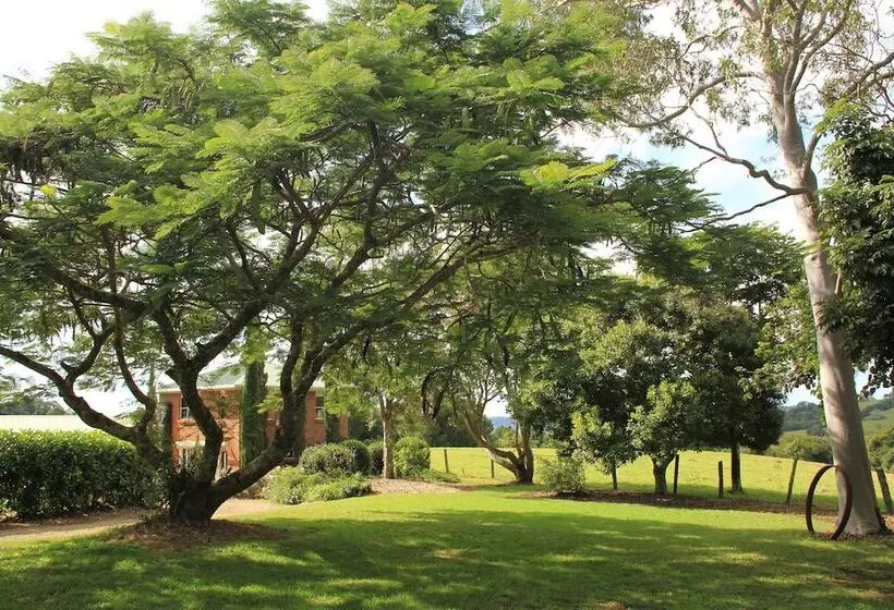 Seasons Of Maleny B&b