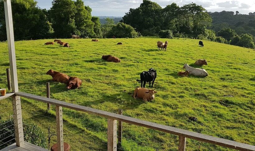 Seasons Of Maleny B&b