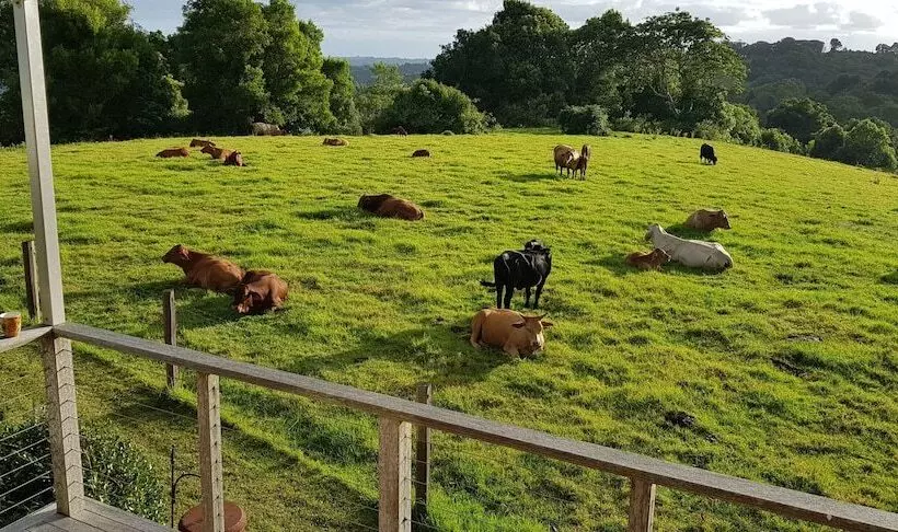 Seasons Of Maleny B&b