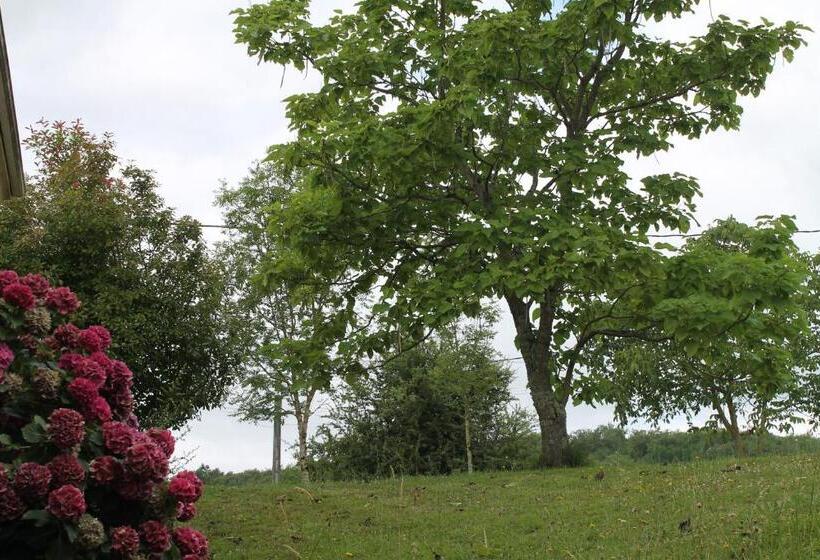 민박 Suite Jomenisa