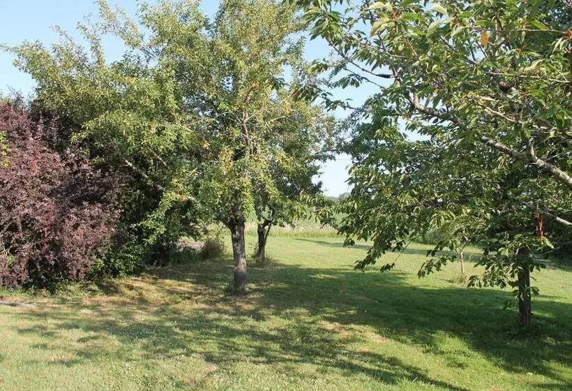 Aamiaismajoitus (B&B) Suite Jomenisa