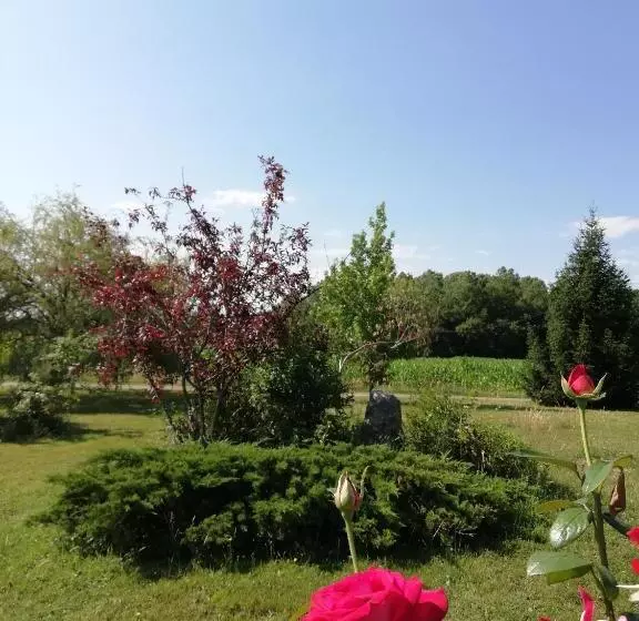 Aamiaismajoitus (B&B) Suite Jomenisa