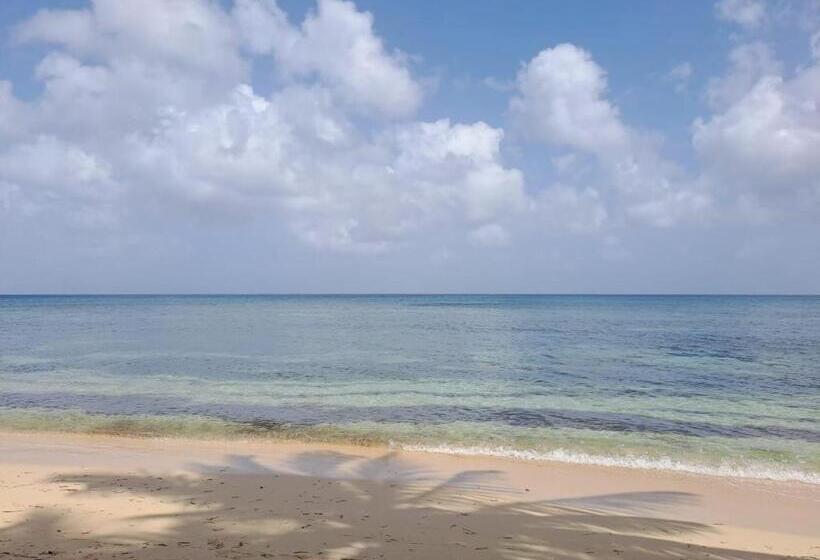 هتل Titi Happy Days