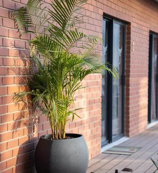 Kruger Living On Nyati