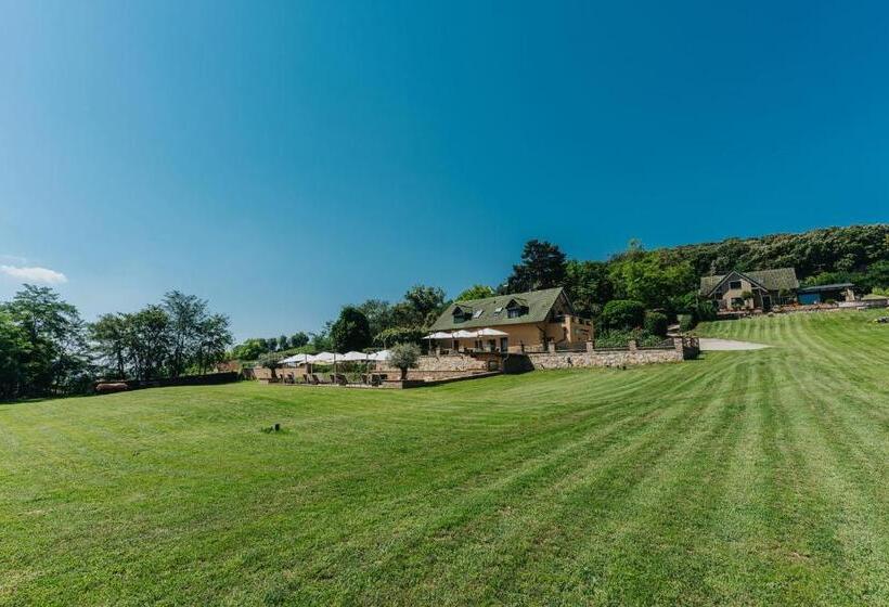 膳宿费 Amannsberger Wineyardlodge