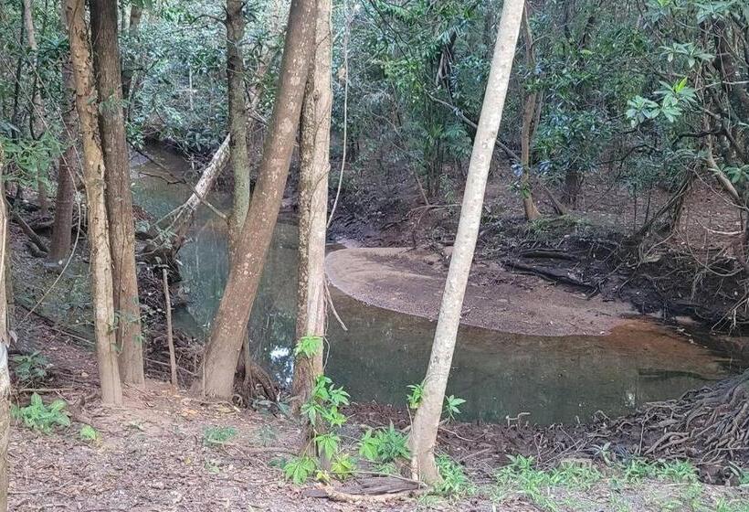 פנסיון Cairns Wildlife Guesthouse