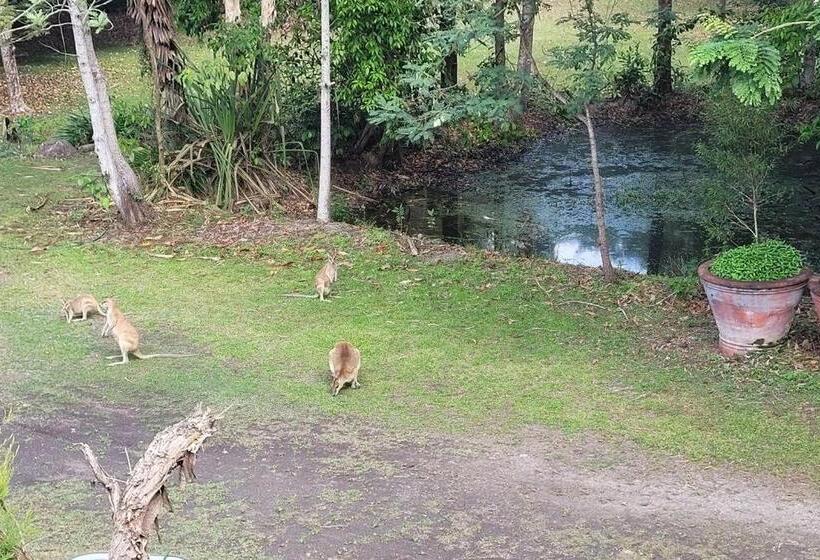 פנסיון Cairns Wildlife Guesthouse