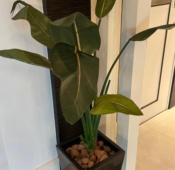 ホテルリオス渋谷adults Only