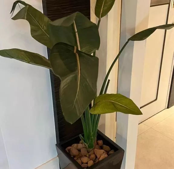 ホテルリオス渋谷adults Only