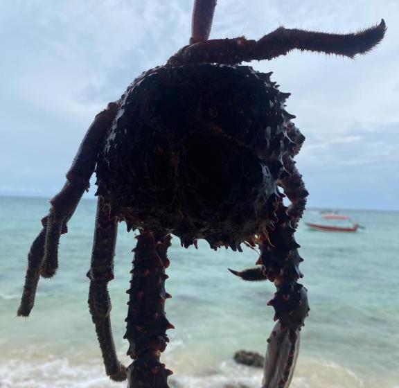 هتل Hostel Bunker Perú