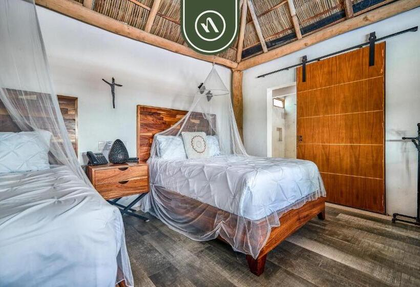 旅馆 2 Double Beds   Dormitory Room In Nuevo Vallarta