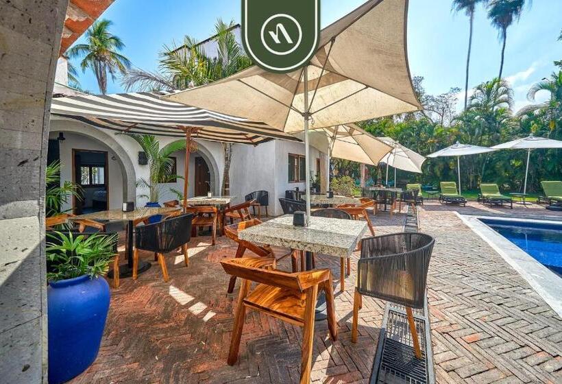 旅馆 2 Double Beds   Dormitory Room In Nuevo Vallarta