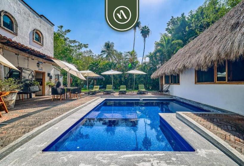 旅馆 2 Double Beds   Dormitory Room In Nuevo Vallarta