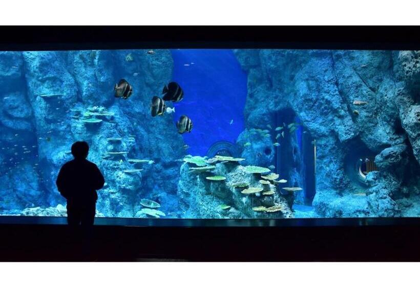 Ashizuri Sunnyside Hotel   Vacation Stay 32474v