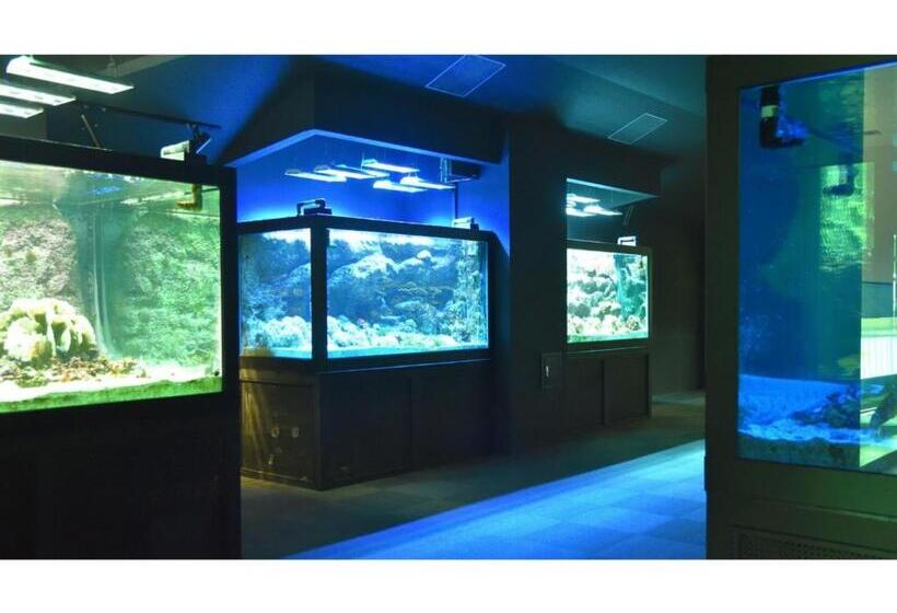 Ashizuri Sunnyside Hotel   Vacation Stay 32474v